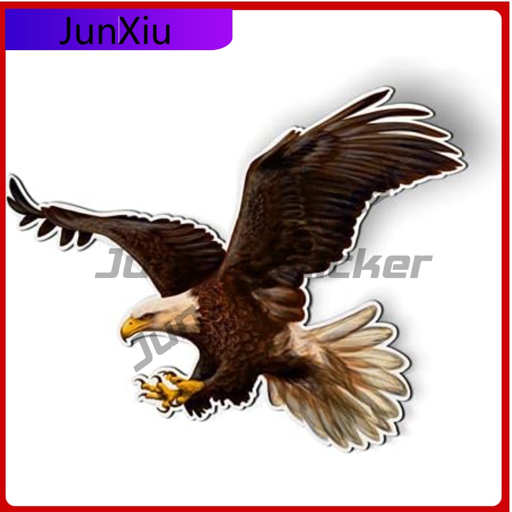 Bald Eagle American Eye Catchi - Laptop Accessories You Must Have 리뷰 및 가격